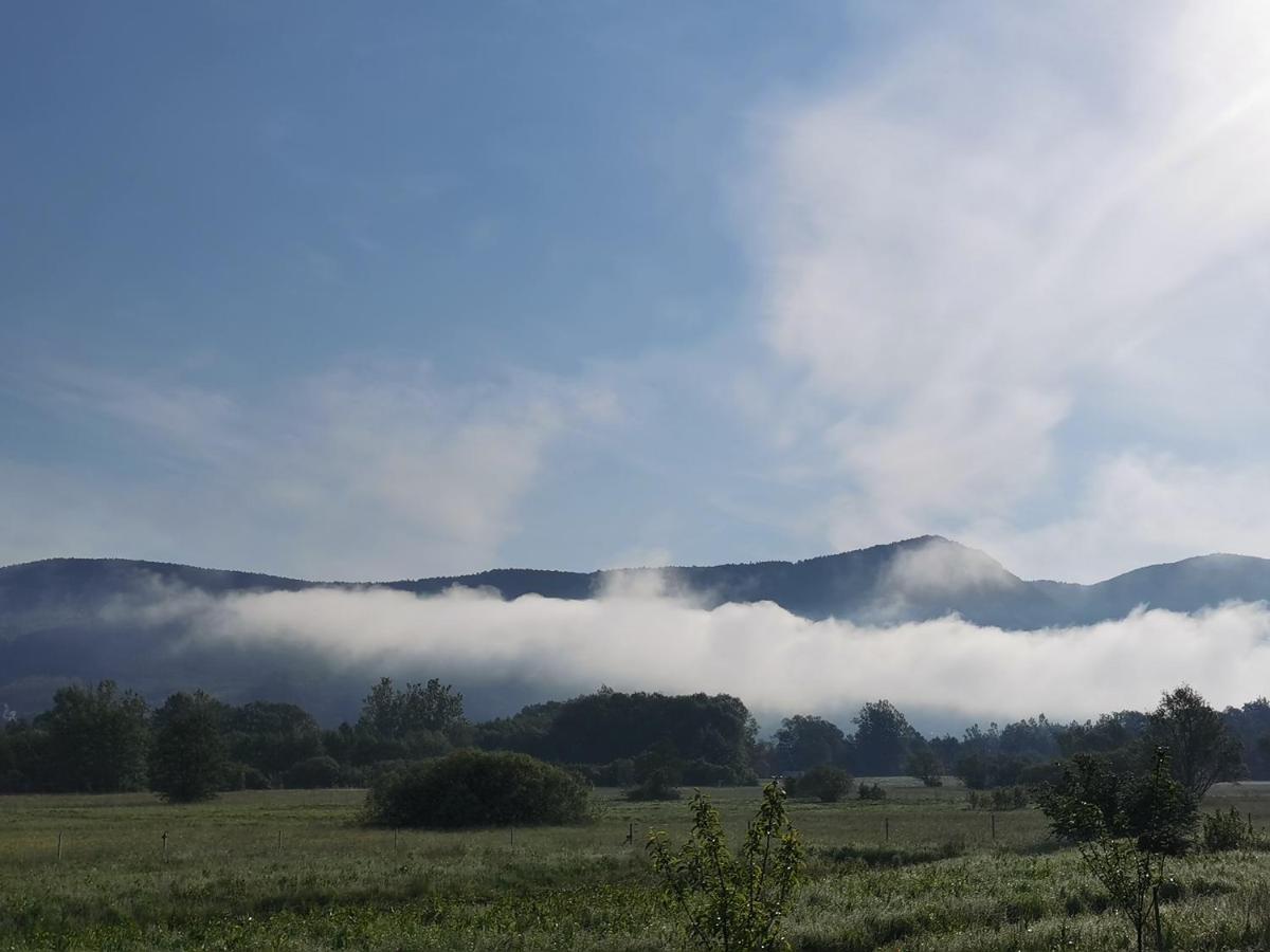 Vila Antik Ilirska Bistrica ภายนอก รูปภาพ